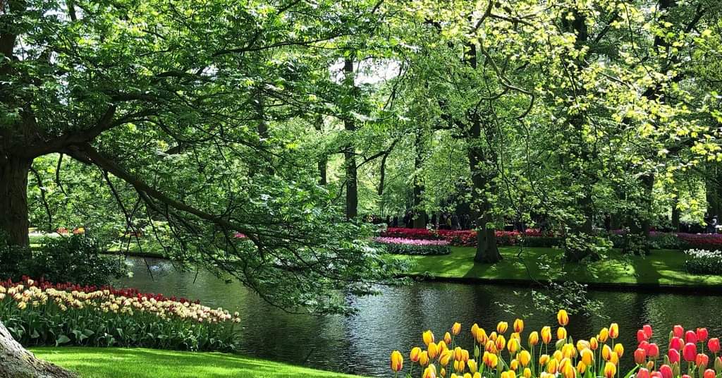 452403752_442448132124486_3022187496973449605_n